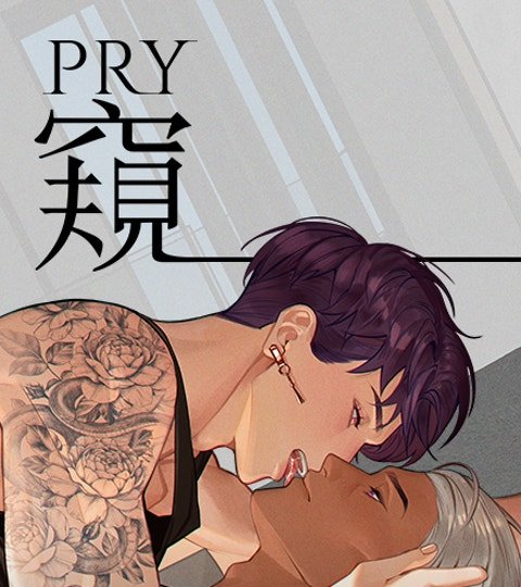 窺 Pry封面
